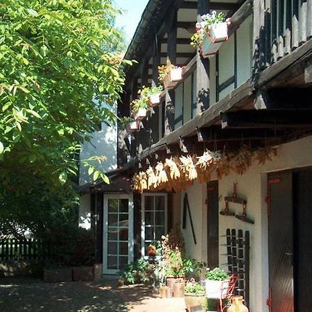 Hotel Garni & Oma'S Heuhotel 'Pension Zur Galerie' Barby Kültér fotó